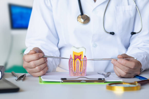 Best Weekend Emergency Dental Services in Proctor, VT